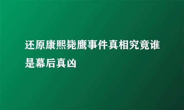 还原康熙毙鹰事件真相究竟谁是幕后真凶