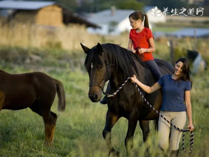 领养猫咪需要注意什么