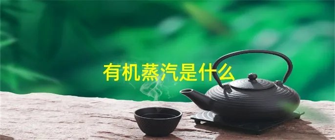 有机蒸汽是什么