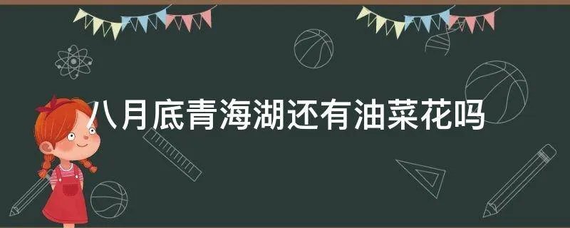八月底青海湖还有油菜花吗
