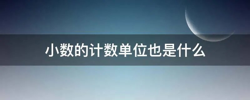 小数的计数单位也是什么