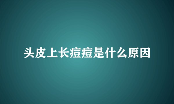 头皮上长痘痘是什么原因