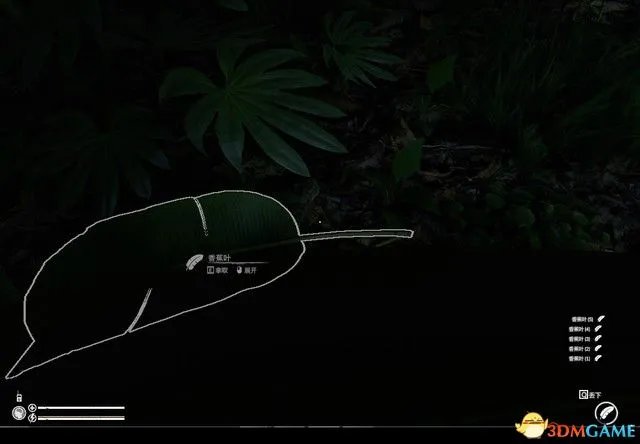 《绿色地狱》全流程图文攻略 通关任务要点攻略