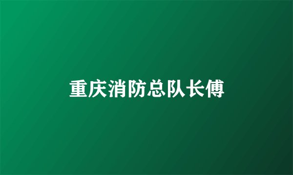 重庆消防总队长傅