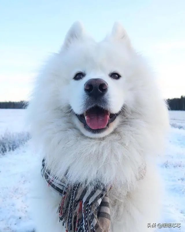 如何让自己的男朋友在疫情期间不要乱跑？