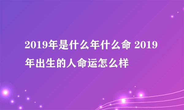 2019年是什么年什么命 2019年出生的人命运怎么样