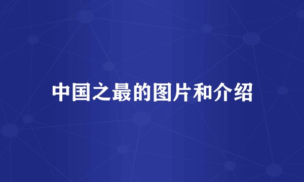 中国之最的图片和介绍