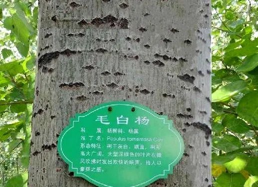 1259是什么意思？