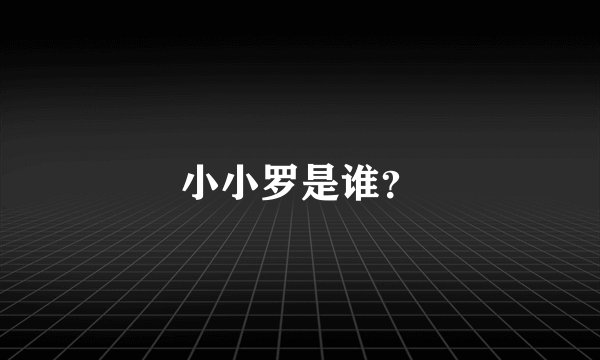 小小罗是谁？