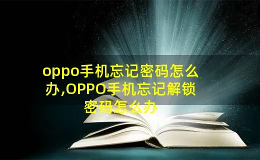 oppo手机忘记密码怎么办,OPPO手机忘记解锁密码怎么办