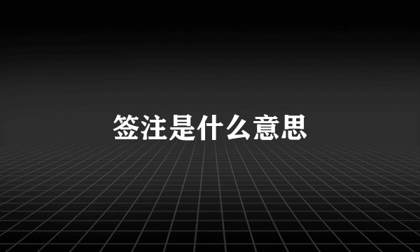签注是什么意思