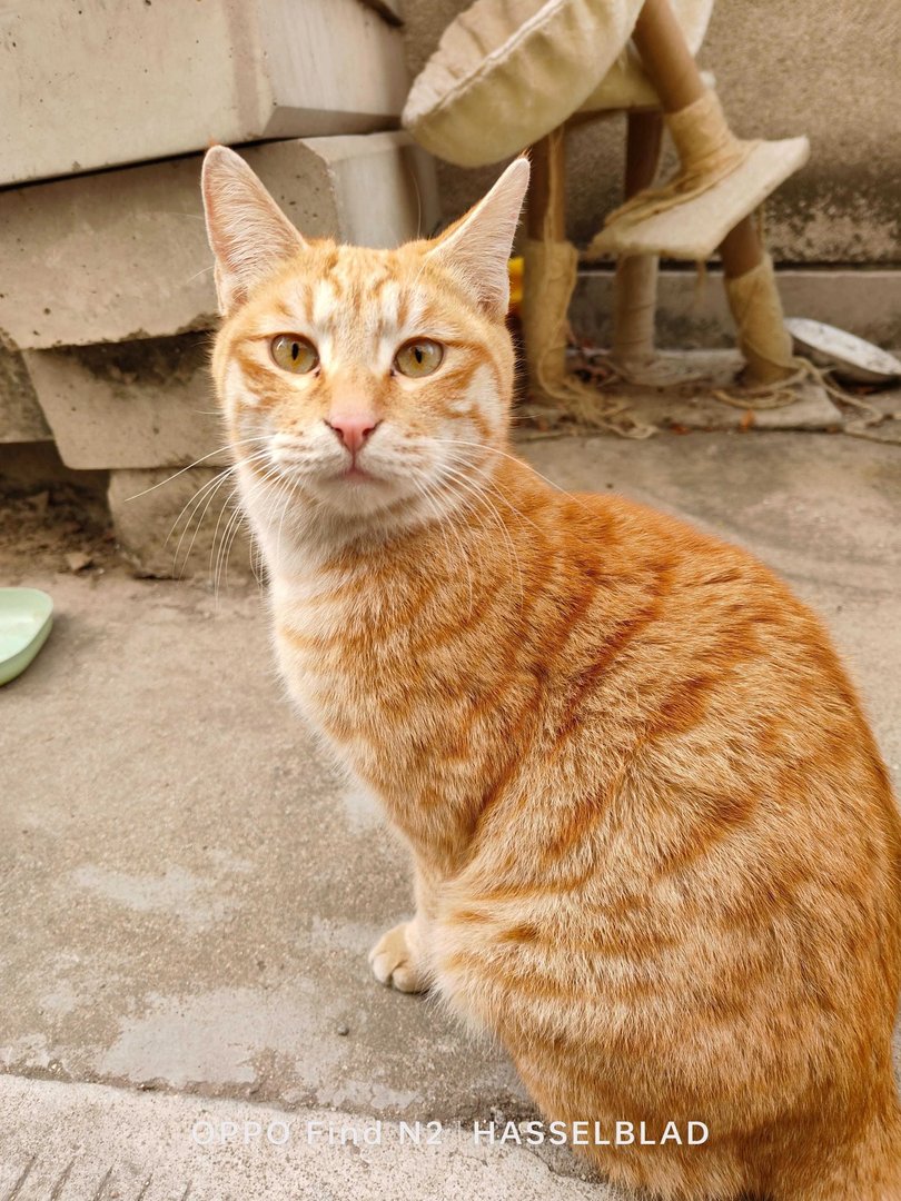 findn2配置参数_使用体验测评