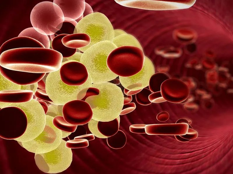 甲胎蛋白正常值是多少