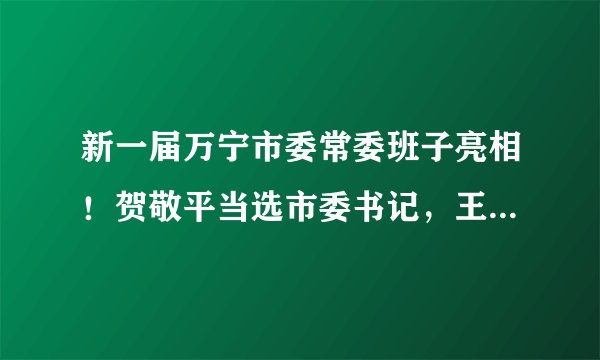 新一届万宁市委常委班子亮相！贺敬平当选市委书记，王三防、李姣当选市委副书记