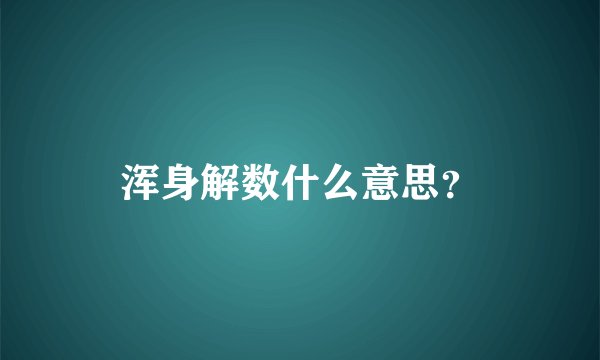 浑身解数什么意思？