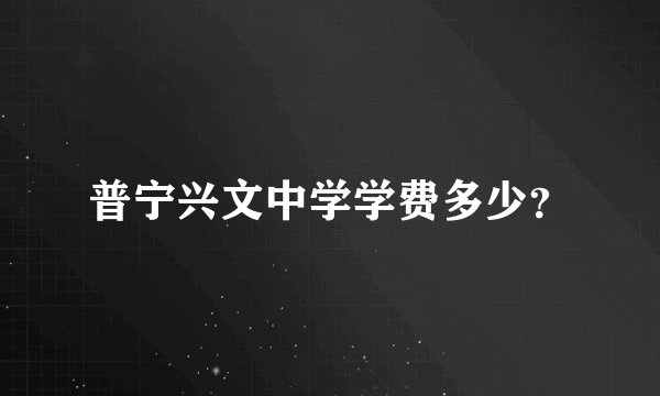 普宁兴文中学学费多少？