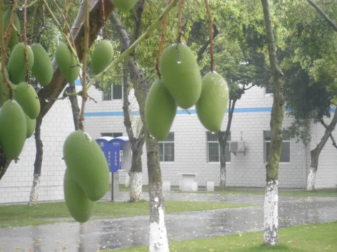 塔山英雄团好吗？？？