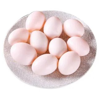鸽子蛋多少钱一个