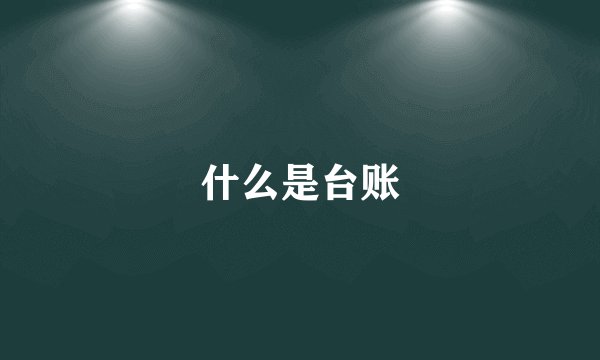 什么是台账