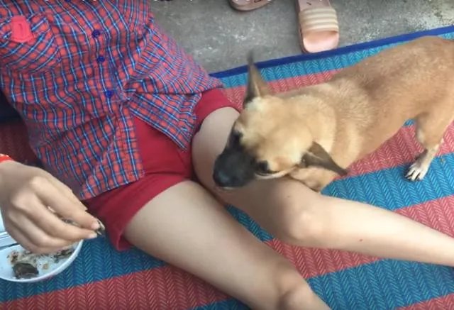 你能写一篇乐正龙牙和神威乐步的耽美文吗？