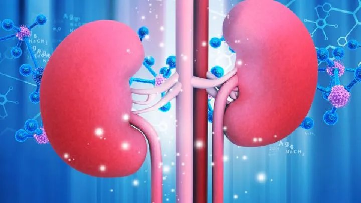 肾衰竭会有哪些症状表现