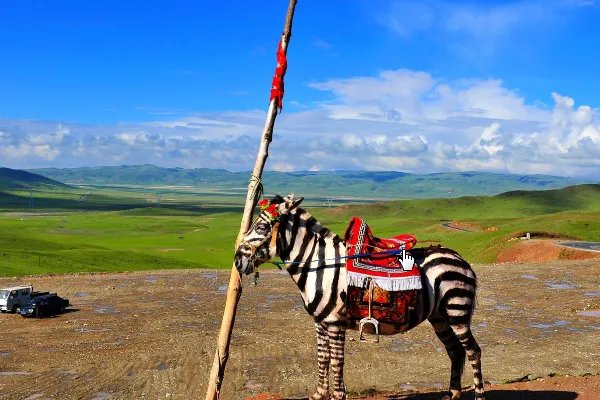 抖音五花马青锋剑是什么歌 江山无限歌词及原唱