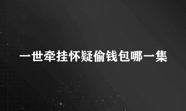 一世牵挂怀疑偷钱包哪一集
