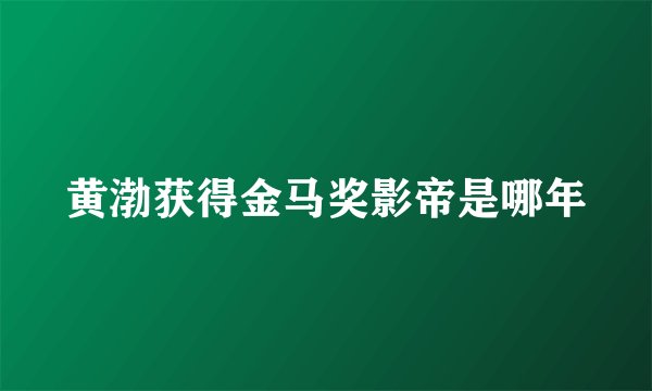 黄渤获得金马奖影帝是哪年