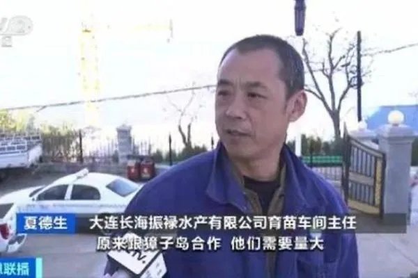 獐子岛利用扇贝跑路事件做出了哪些违法行为？