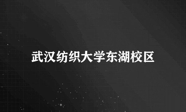 武汉纺织大学东湖校区