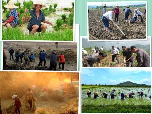 大魔国，君王有道，檐前点点飞花雨。求下联？
