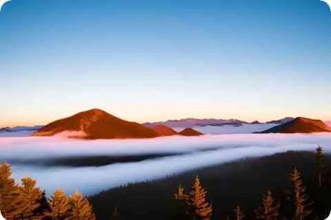 五台山抗日传奇之女尼排详细资料大全