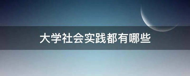 大学社会实践都有哪些