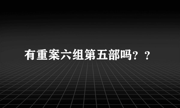 有重案六组第五部吗？？