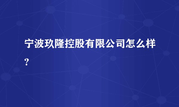 宁波玖隆控股有限公司怎么样？