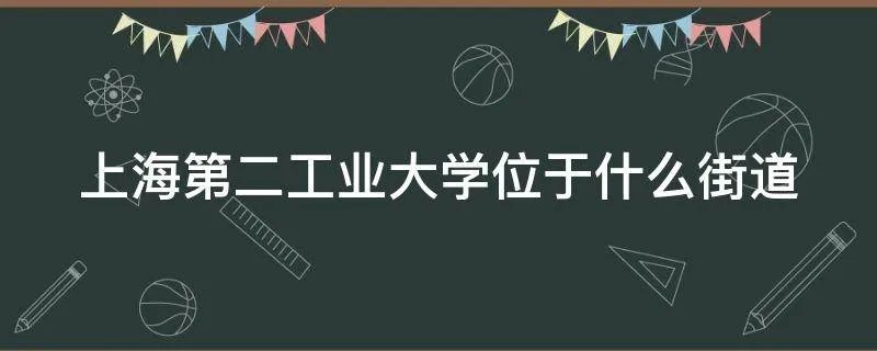 上海第二工业大学位于什么街道