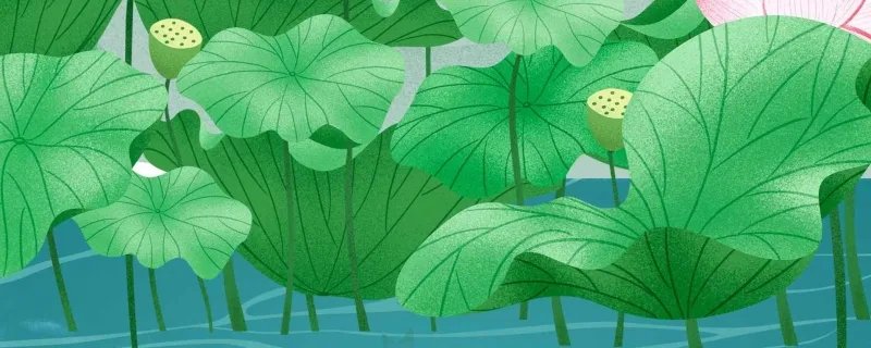 初伏的含义是什么