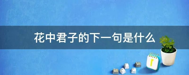 花中君子的下一句是什么