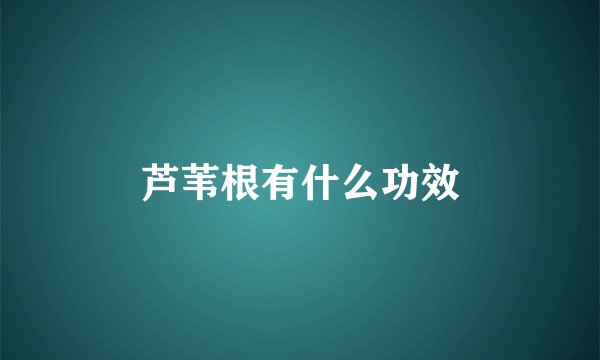 芦苇根有什么功效