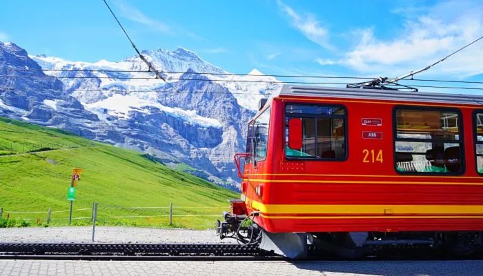 2022年什么时候放暑假 2022暑假放假安排公布时间