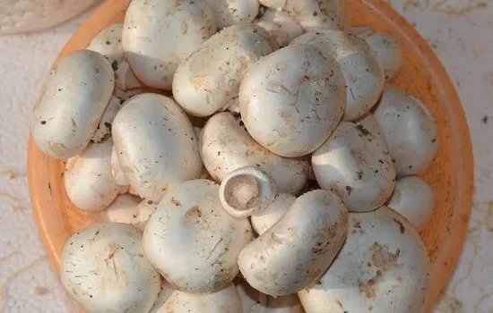 吉林四平有哪些值得带走的特产 吉林四平特产