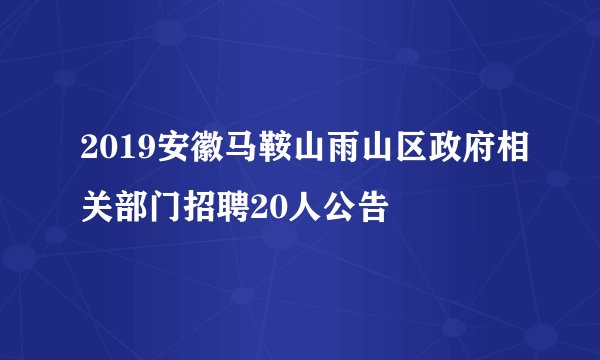 2019安徽马鞍山雨山区政府相关部门招聘20人公告