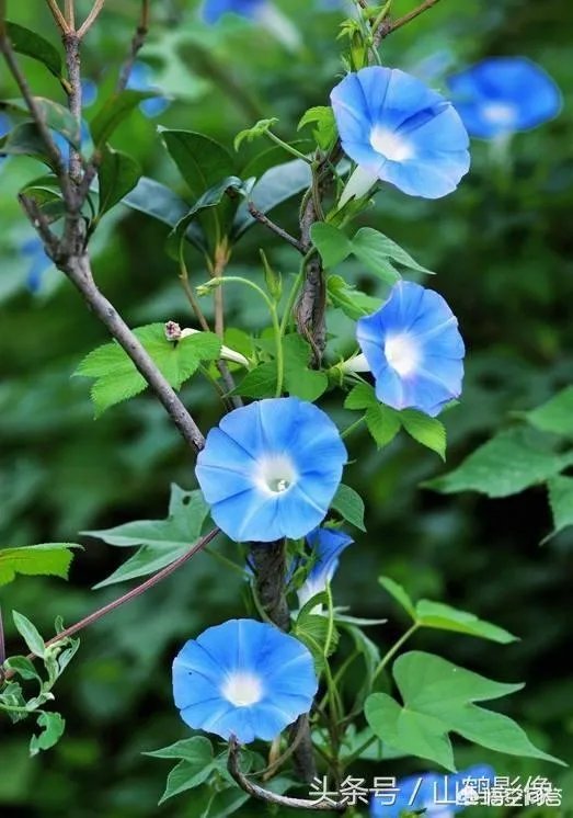 济宁有哪些旅游景点？