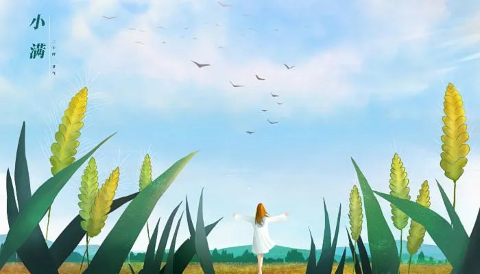 小满节气的人生感悟