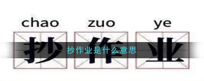 抄作业是什么意思