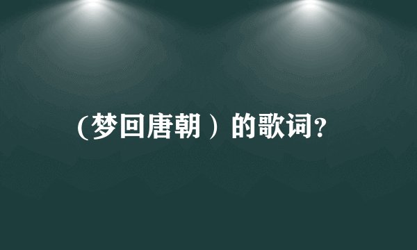 (梦回唐朝）的歌词？