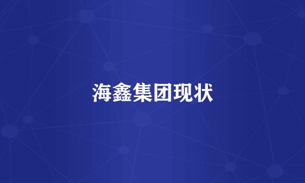 海鑫集团现状