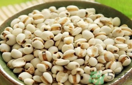 薏米是什么米?薏米是高粱米吗?