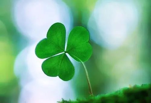 武道医王吴东周美珠云汐 武道医王吴东免费阅读