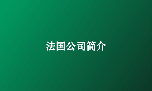法国公司简介